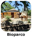 Roma Bioparco